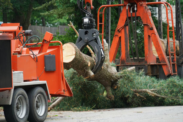 Best Grass Overseeding  in Mountville, PA