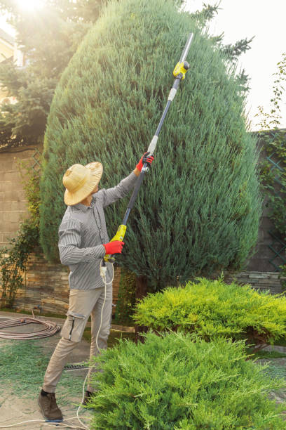 Best Tree Preservation Services  in Mountville, PA